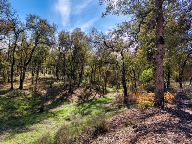 16055 29th, Clearlake