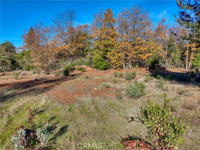 9184 Diamond Dust, Kelseyville