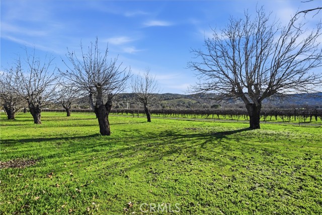 14072 Apple Lane, Clearlake Oaks