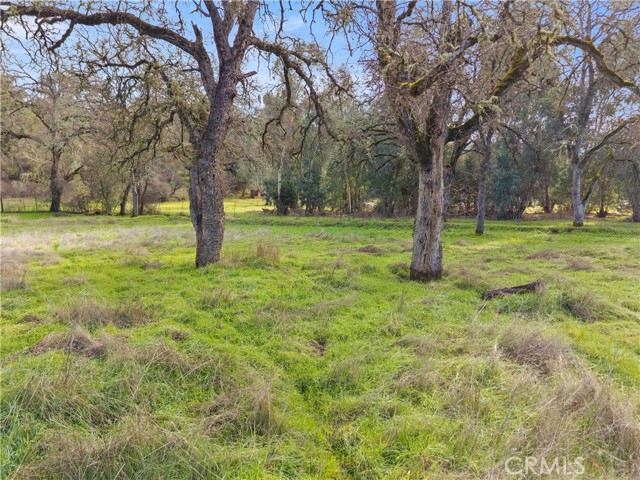 4962 Gaddy Lane, Kelseyville