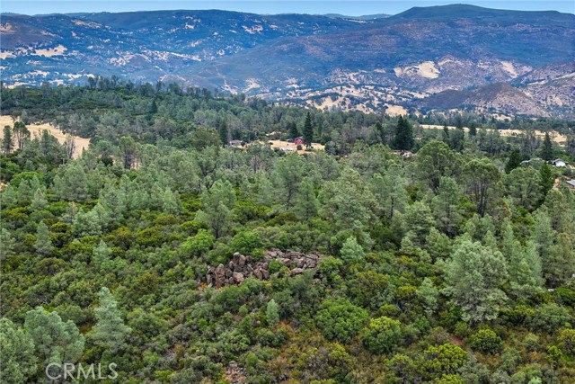 20110 Jerusalem Grade, Lower Lake
