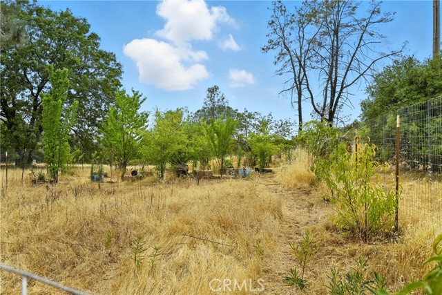 20110 Jerusalem Grade, Lower Lake