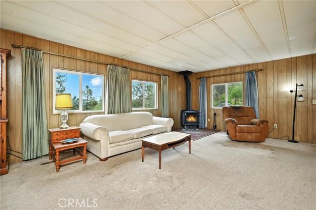 20110 Jerusalem Grade, Lower Lake