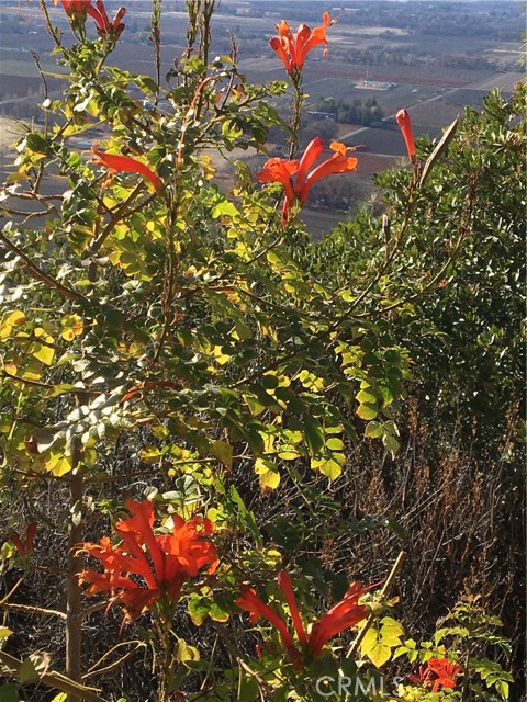3520 Michelle Drive, Kelseyville