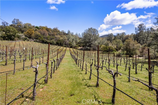 3520 Michelle Drive, Kelseyville