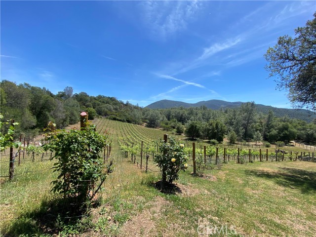 3520 Michelle Drive, Kelseyville