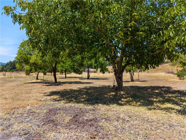 2225 Ladder Ridge Road, Upper Lake