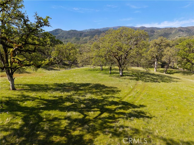 10950 Bachelor Valley Road, Upper Lake