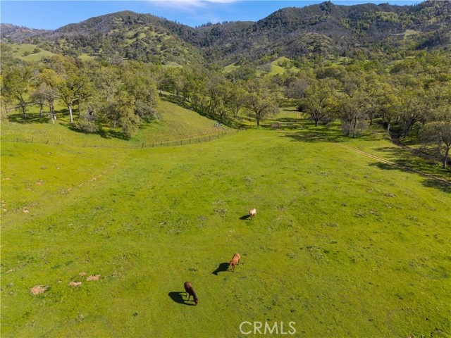 10950 Bachelor Valley Road, Upper Lake