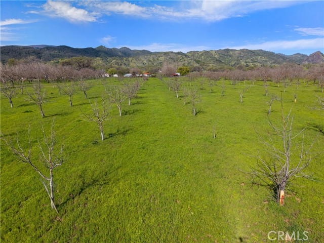 10950 Bachelor Valley Road, Upper Lake