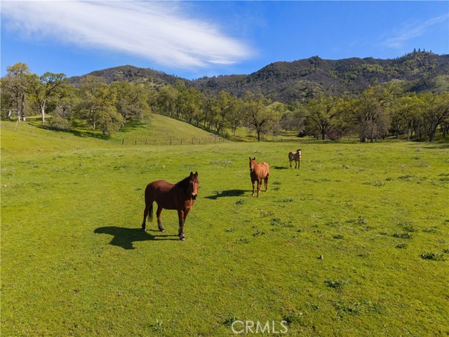 10950 Bachelor Valley Road, Upper Lake