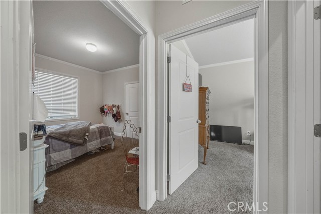 7195 Liberty, Nice
