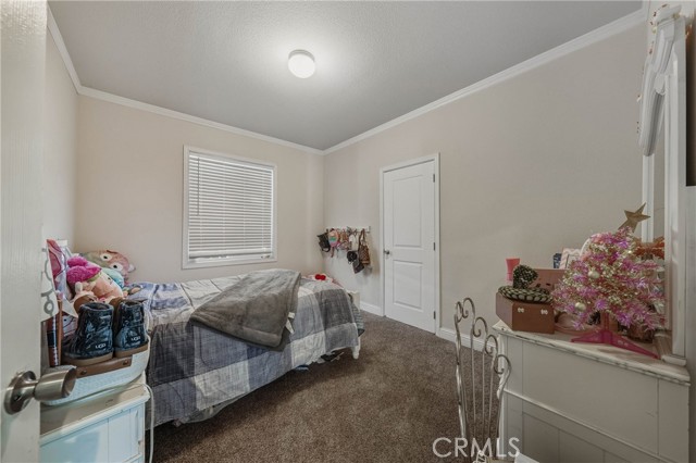 7195 Liberty, Nice