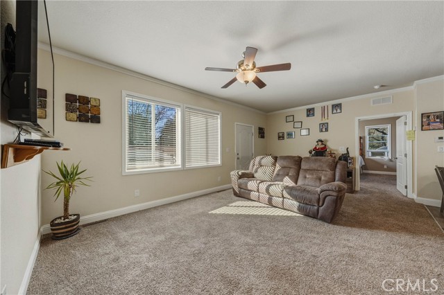 7195 Liberty, Nice