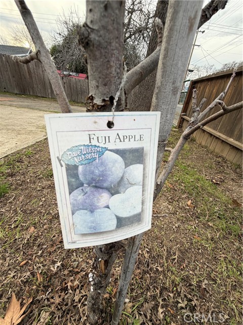 14707 Walnut Avenue, Clearlake