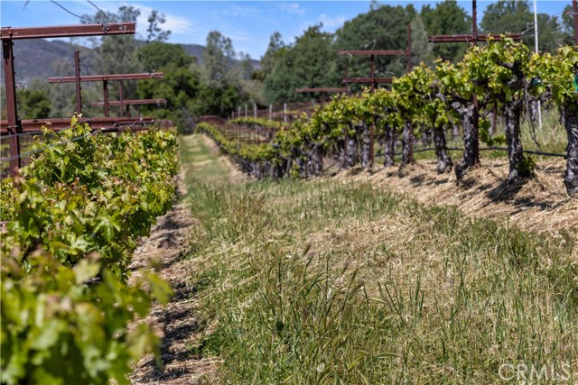 7875 Adobe Creek Road, Kelseyville