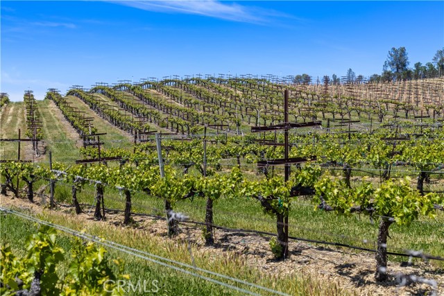 7875 Adobe Creek Road, Kelseyville