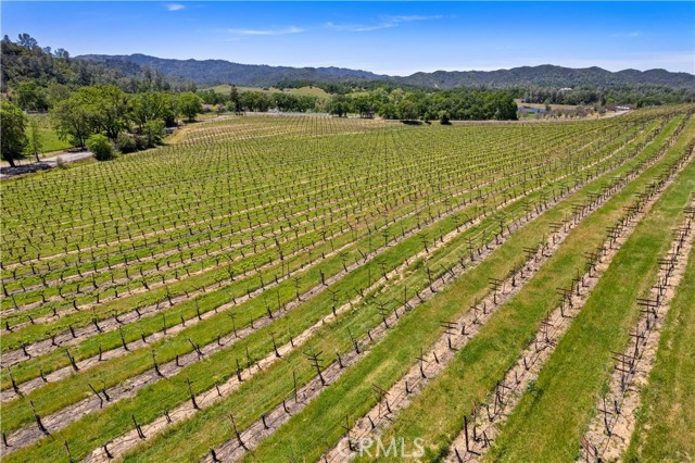 7875 Adobe Creek Road, Kelseyville