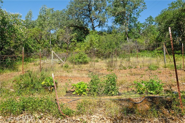 13449 Anderson Road, Lower Lake