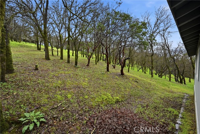 19474 Donkey Hill, Hidden Valley Lake