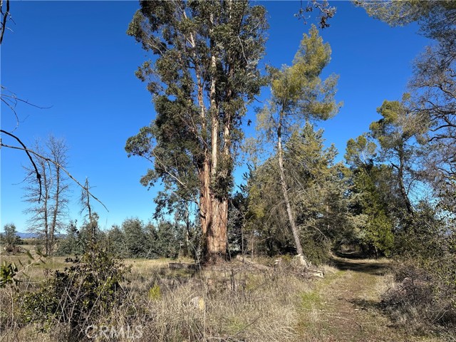 5235 Gaddy, Kelseyville