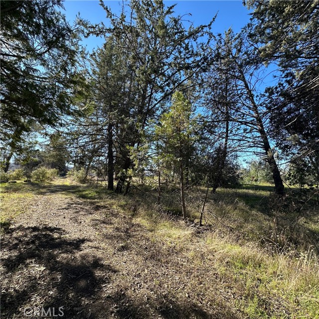 5235 Gaddy, Kelseyville