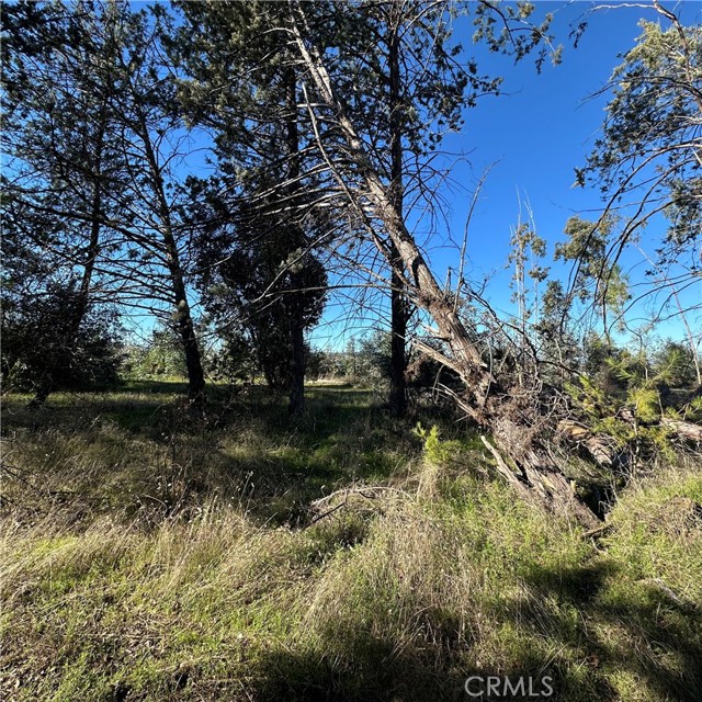 5235 Gaddy, Kelseyville
