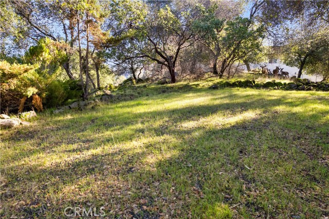 10849 Northslope Drive, Kelseyville