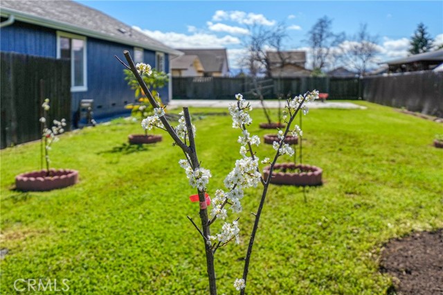 3483 Beach St. Street, Nice