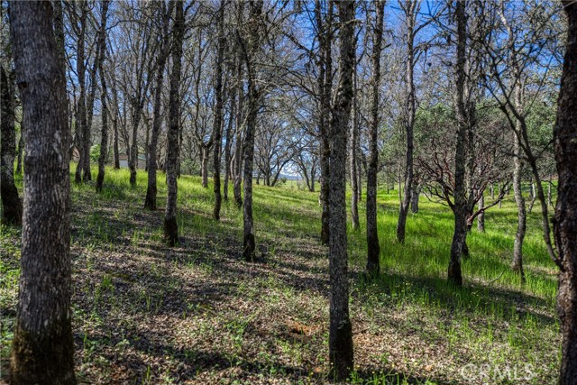 1001 Louis Way, Lakeport