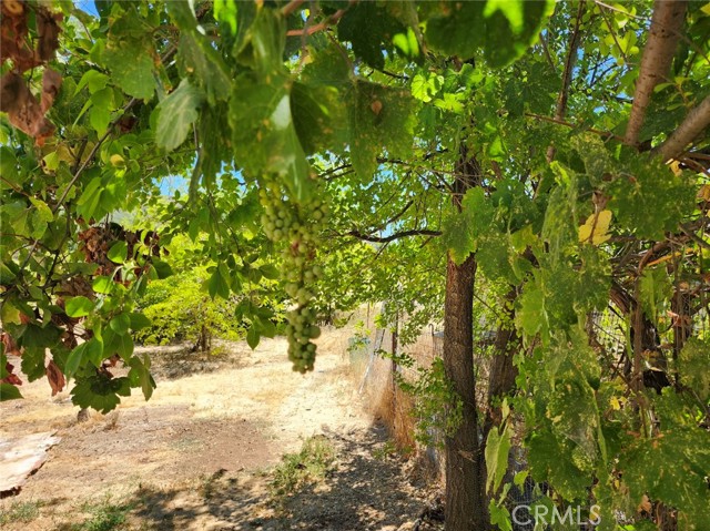 3950 Emile Avenue, Clearlake