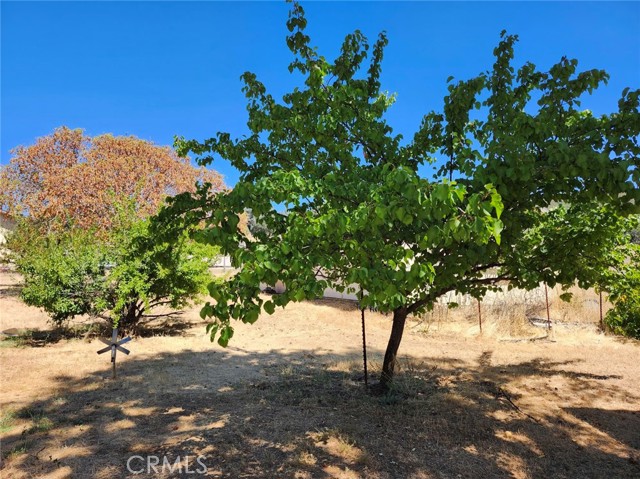 3950 Emile Avenue, Clearlake