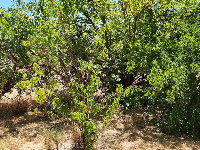 3950 Emile Avenue, Clearlake