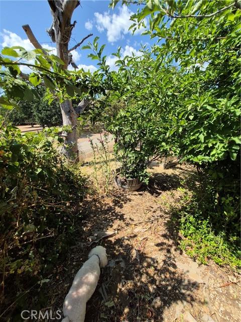 2940 Blackfeet Trail, Clearlake Oaks