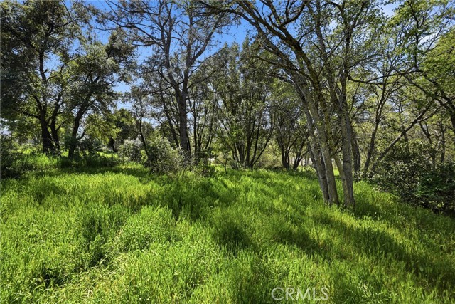 15560 20th Avenue, Clearlake