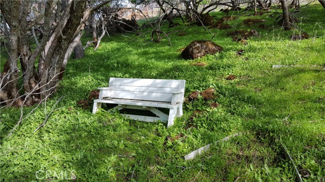 13017 Park Drive, Lower Lake
