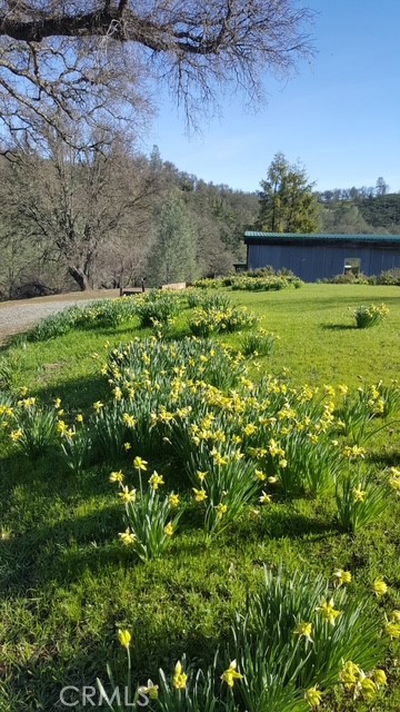 2002 Ogulin Canyon, Clearlake