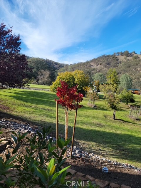 2002 Ogulin Canyon, Clearlake