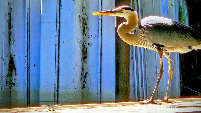 15198 Harbor, Clearlake