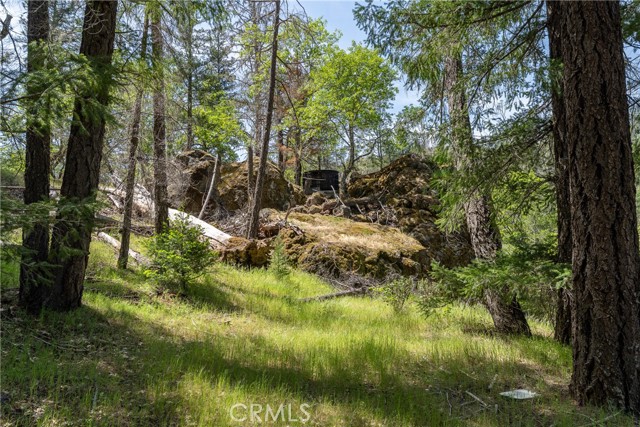 3269 Muir Lane, Outside Area (Inside Ca)