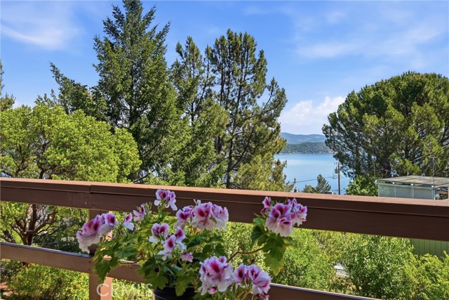 3590 Idlewood Drive, Kelseyville