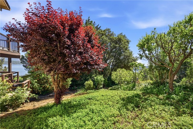 3590 Idlewood Drive, Kelseyville