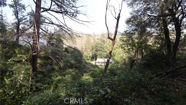 17327 Bay Leaf Road, Cobb