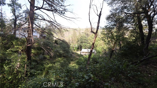 17327 Bay Leaf Road, Cobb