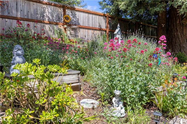 1150 North Street, Lakeport