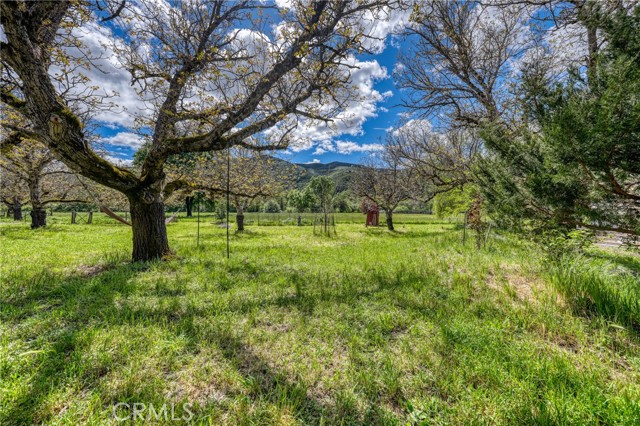 6400 Scotts Valley, Lakeport