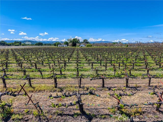 2195 stone Drive, Lakeport
