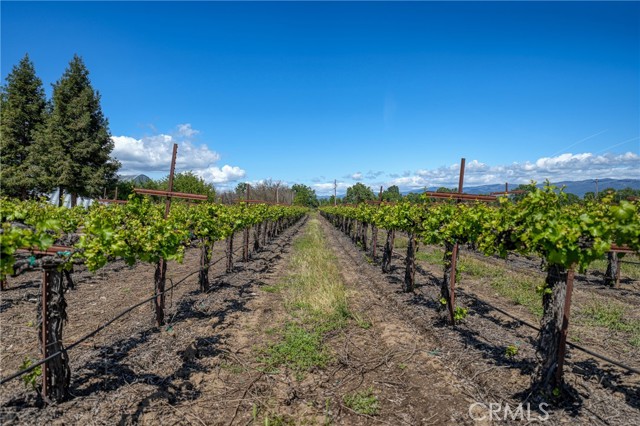 2195 stone Drive, Lakeport