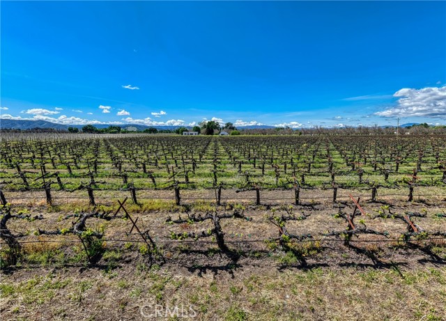 2195 stone Drive, Lakeport