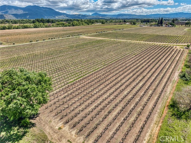 2195 stone Drive, Lakeport